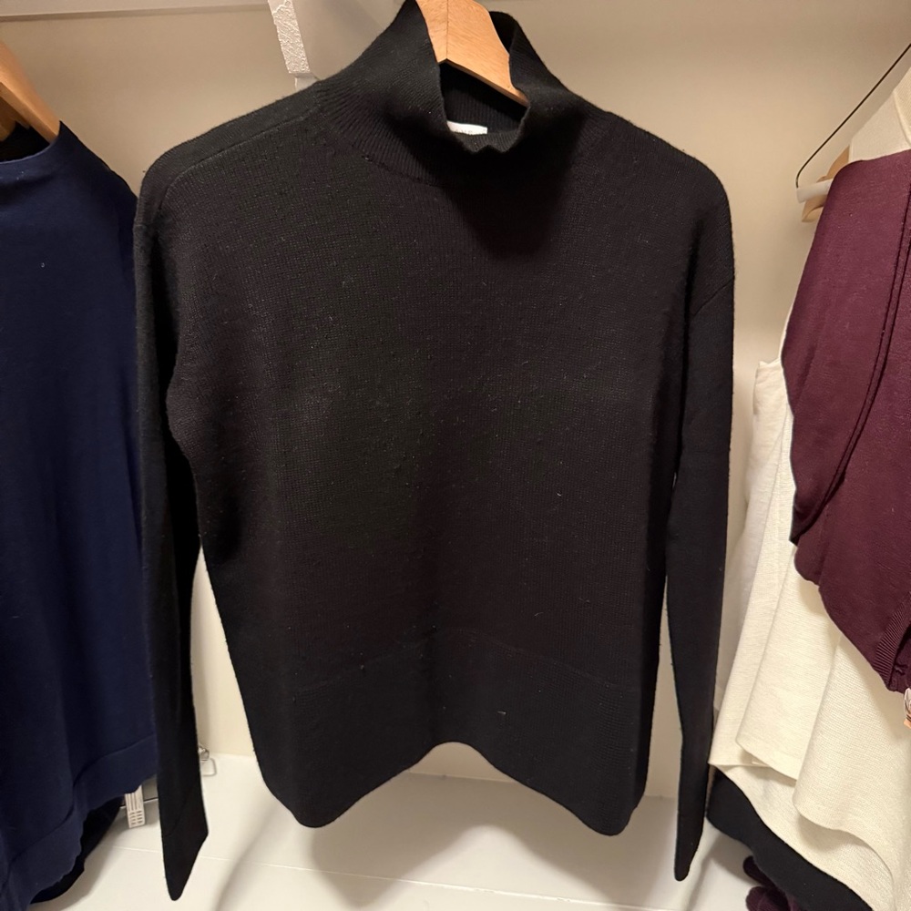 Everlane Black Turtleneck Sweater